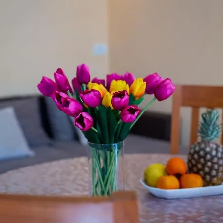 Dr. Jo~ 2 Bedroom With Free Parking ~ Apartment Dubrovnik