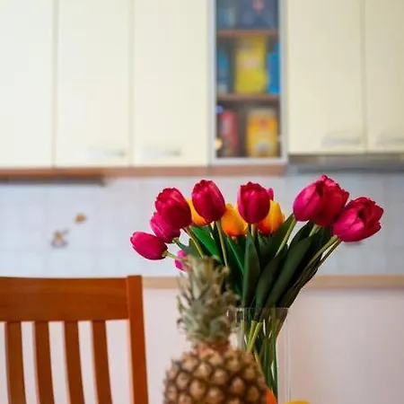 Dr. Jo~ 2 Bedroom With Free Parking ~