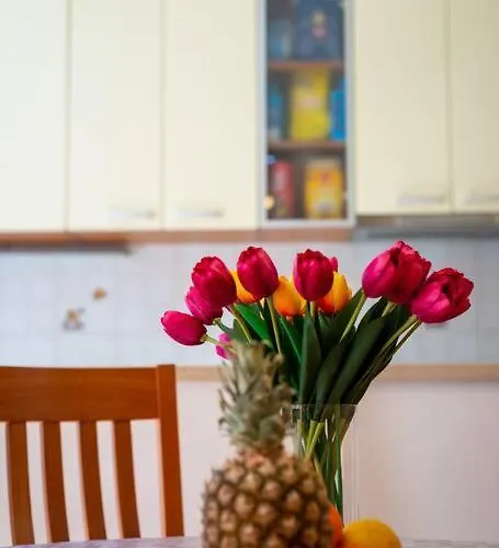 Dr. Jo~ 2 Bedroom With Free Parking ~