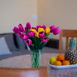 Dr. Jo~ 2 Bedroom With Free Parking ~ Apartman Dubrovnik