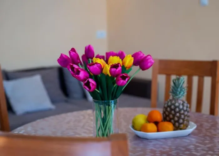Dr. Jo~ 2 Bedroom With Free Parking ~ 公寓 杜布罗夫尼克